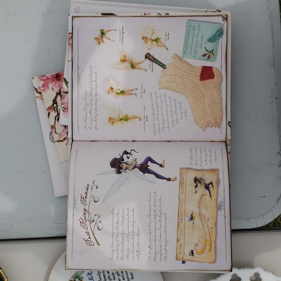 Disney "The Hidden World of Fairies" book - Picture 8 of 16